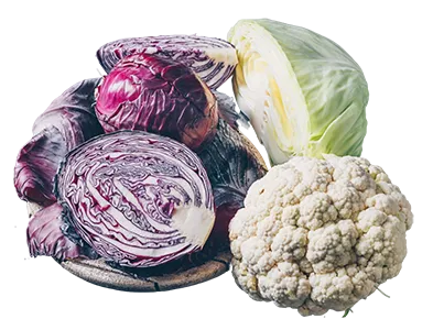 photo de légumes famille de choux