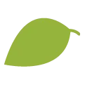 feuille de fruits extraite du logo Charlet Bazon Nord Primeurs