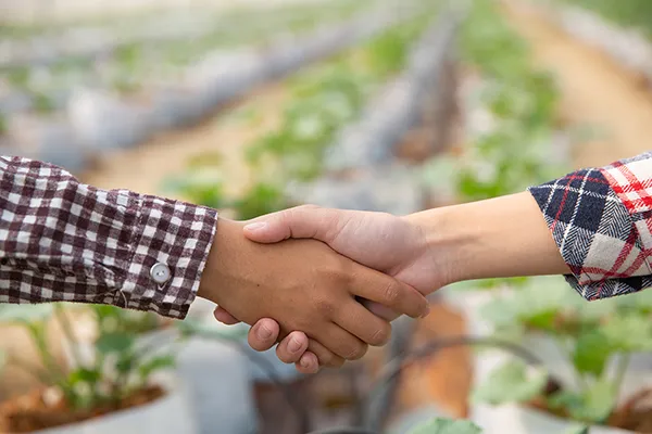 une poignée de mains pour marquer la confiance entre les producteurs des fruits et légumes et l'entreprise Charlet Bazon - Nord primeurs