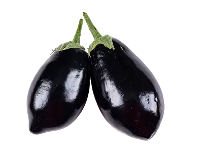 Aubergines en photo