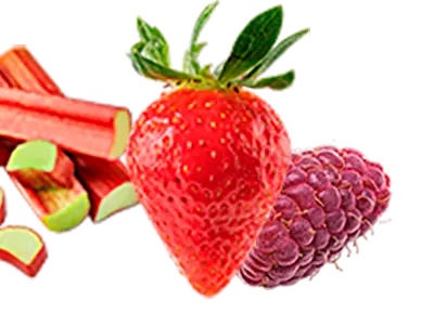 photo de fraises framboises et rhubarbe